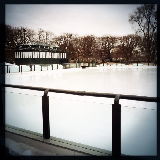 Ice Rink!!  Too bad no one was on it - can you imagine how many awesome photographs I could have gotten?!!  Oh well...